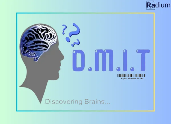 d-m-i-t-discovering-brains.webp